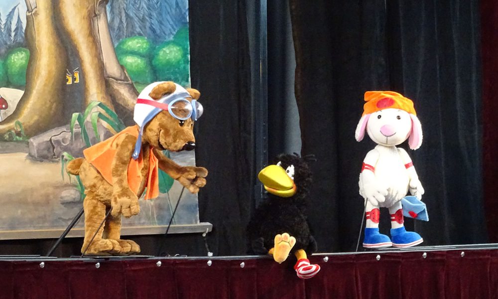 2018-10-07-Rabe-Socke14